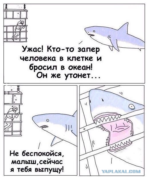 Картинки и надписи разные
