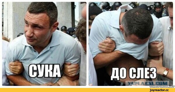 С первым сентября от Виталика