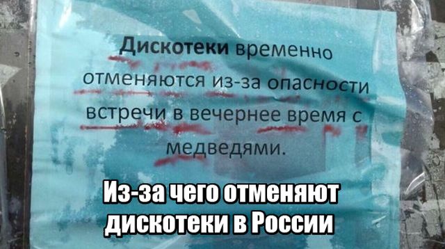 Забавных картинок не хотите ли?