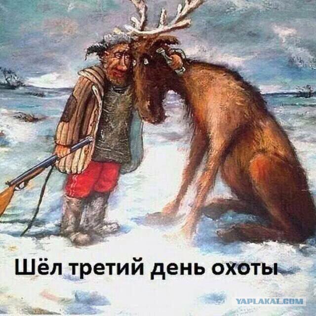 Смешные комментарии из социальных сетей 15.12.2017