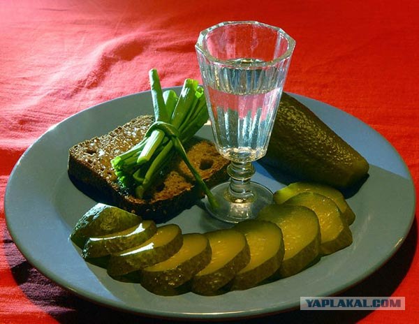 Как я стал знатоком водки.