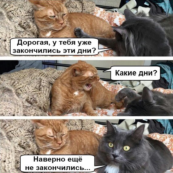 Почему бы не подеградировать, коллеги?
