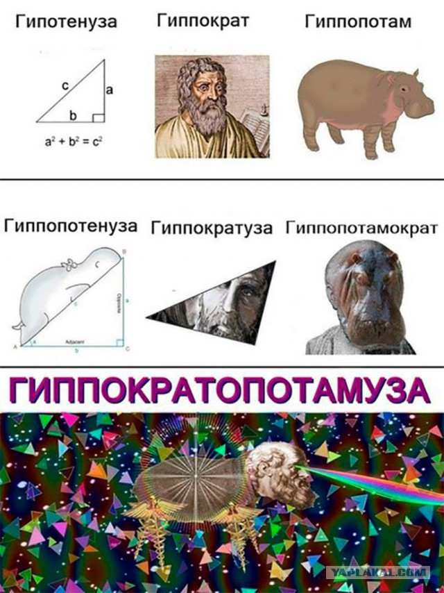 Итоги проверки пользователей