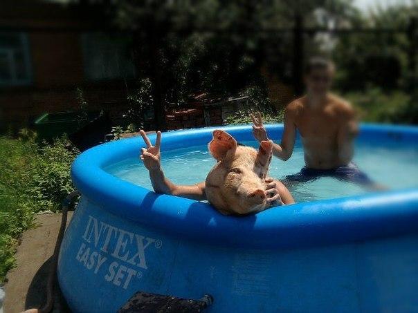 Чудики из социальных сетей