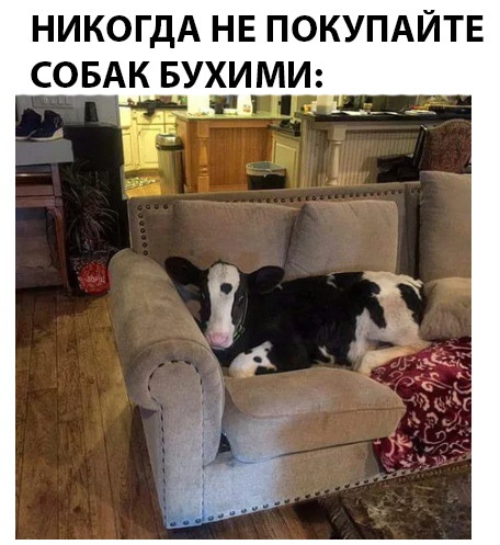 Нестандартный юмор