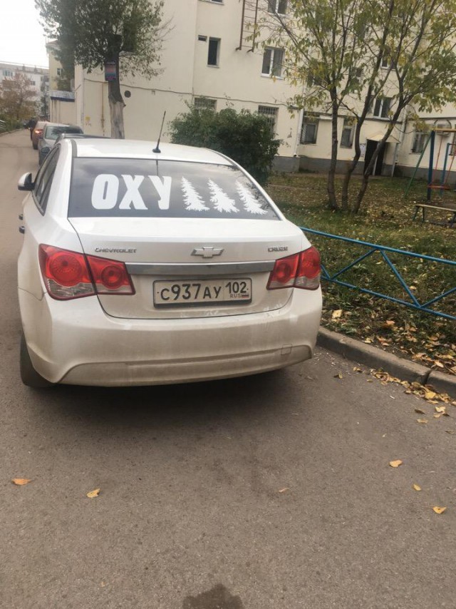 Юмор и перлы из социальных сетей!