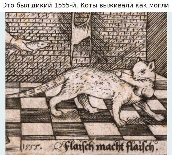 Не очень адекватный юмор