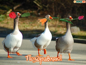 Яповчанки с праздником любви и весны