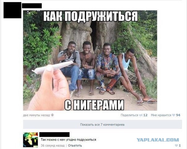 Картинки из этих ваших интернетов!