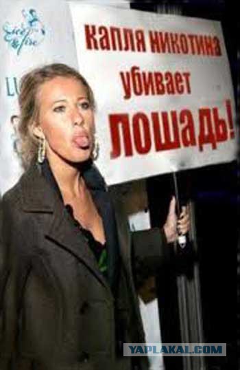 Две проститутки, смертельная доза виагры, А. Собчак и ... В. Путин