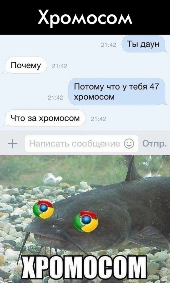 Картинки с надписями,истории и анекдоты