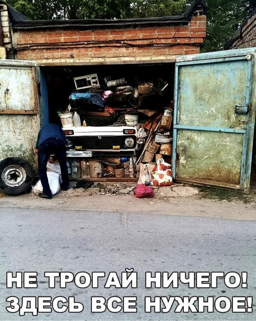 13075253.jpg
