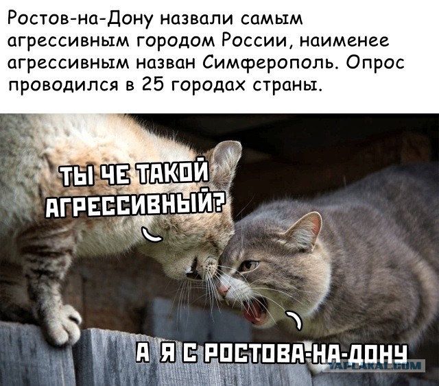 В Ростове парень закинул чёрный пакет в автобус и крикнул "Аллаху Акбар"