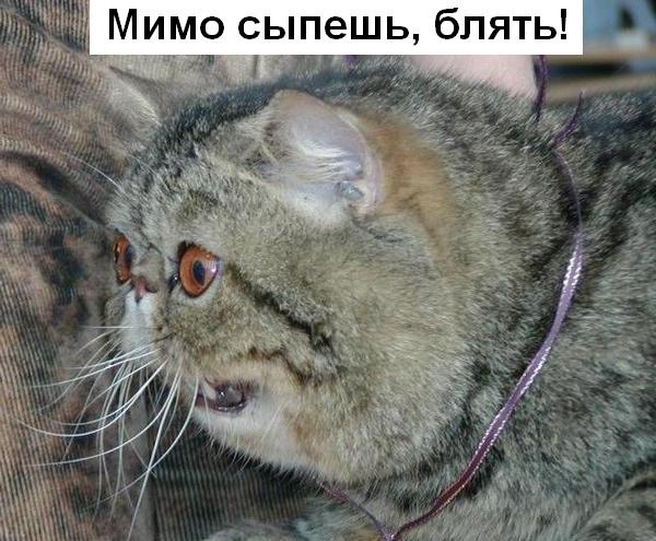 С ума сошла, что-ли?!
