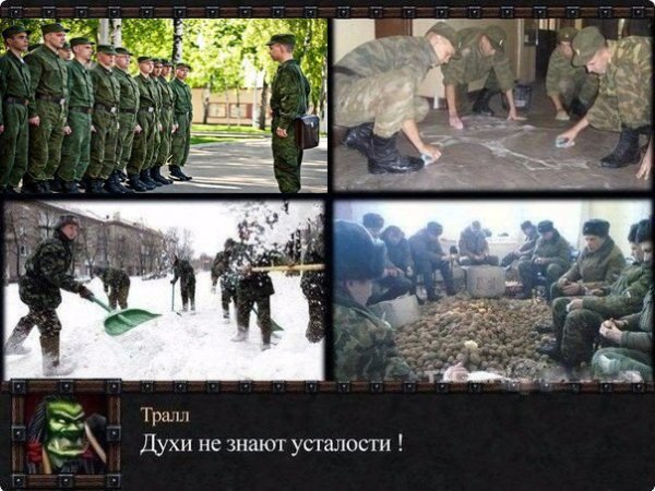 Бредзона в картинках 26.11.2019