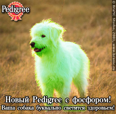 Рекламный допинг
