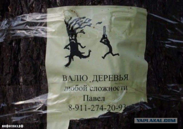 Перлы 16.12.19