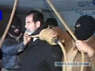 Бывшая жена миллиардера Ротенберга записала обращение "Вы должны быть благодарны..."