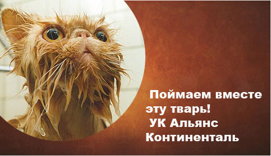 Фотожаба: Альянс Континенталь