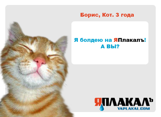 Конкурс фотожабы: Я Люблю ЯПлакалъ