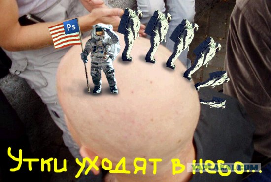 Фотожаба: лысая бошка