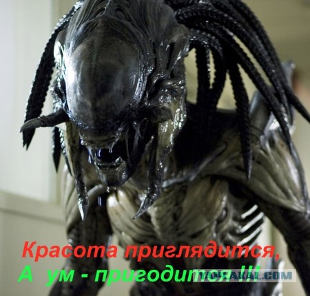 Народное творчество в картинках