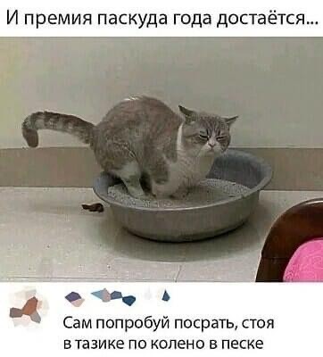 Картинки