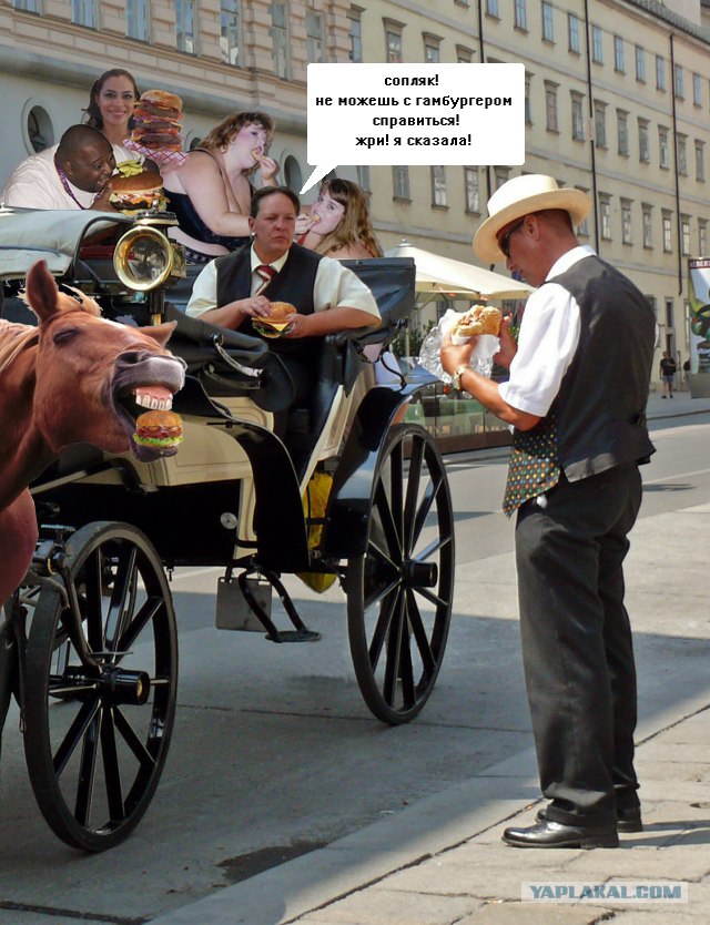 Фотожаба: бутерброд