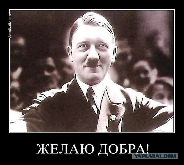 Посвящение россиянским подстилочкам