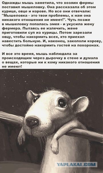 Картинки с надписями и всякие жизненные фразы 1.06.21