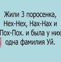 Весёлый полтишок 6.06