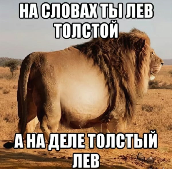 Последняя картинка в вашей Галерее/Загрузках