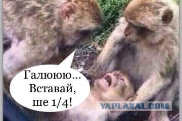 Украина победила шведов на евро