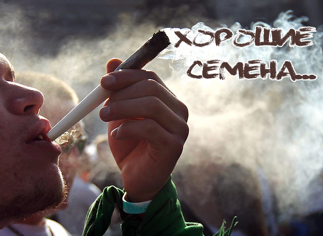 Срочное сообщение