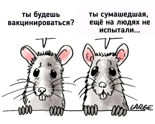Названа первая страна, победившая коронавирус