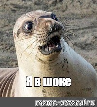 Освободите Вилли