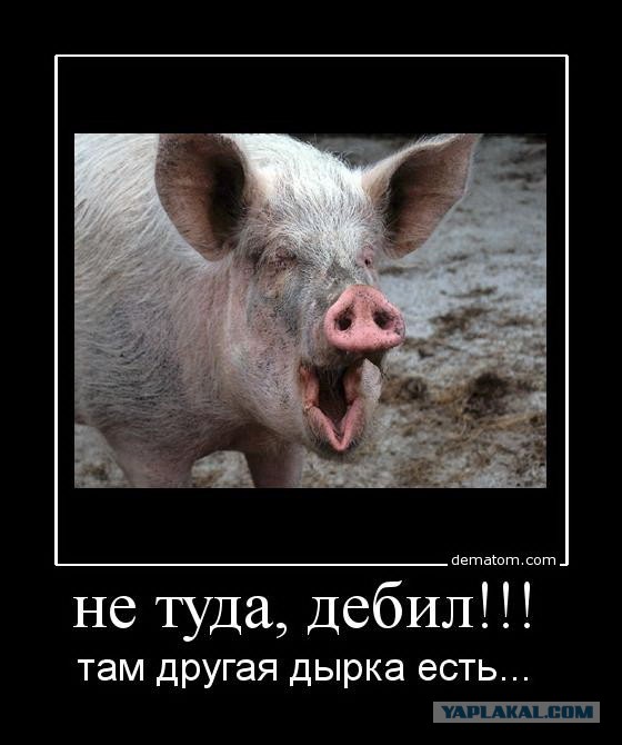 ПостНовогодняя ХНЯ, для дорогих деградантов
