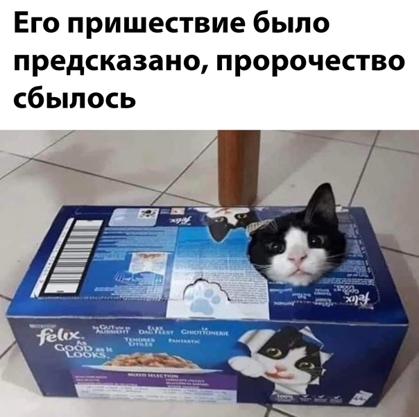 Картинки и мемы для настроения  -  9