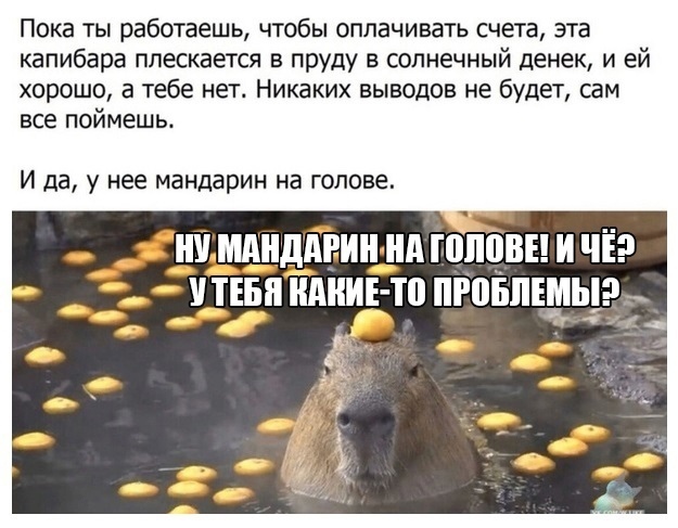 Так себе картинки 16.02.22