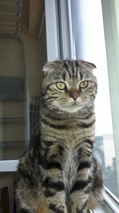 КотоФторник 23.08.22