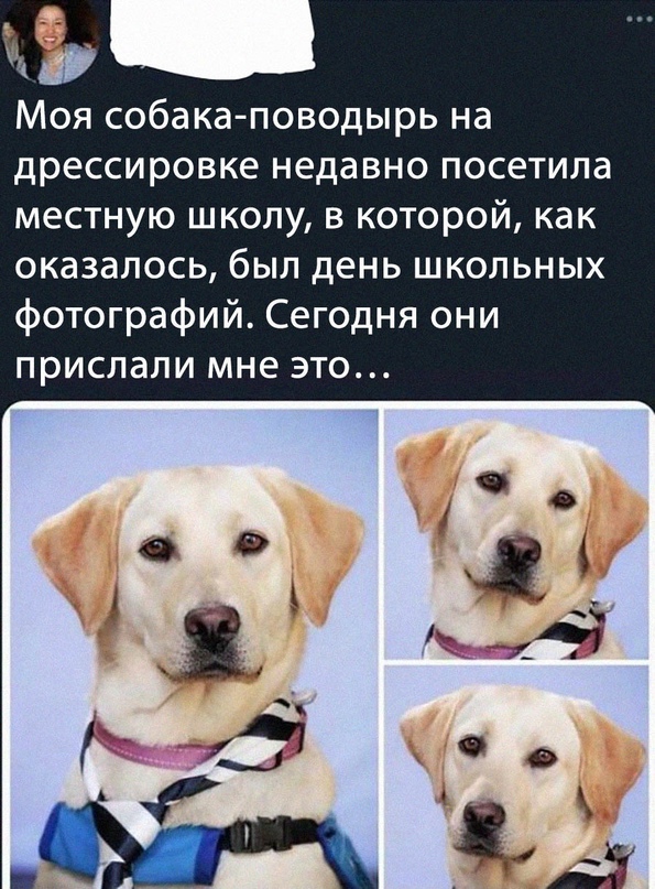 Немного картинок."Колбасный ветер". Август