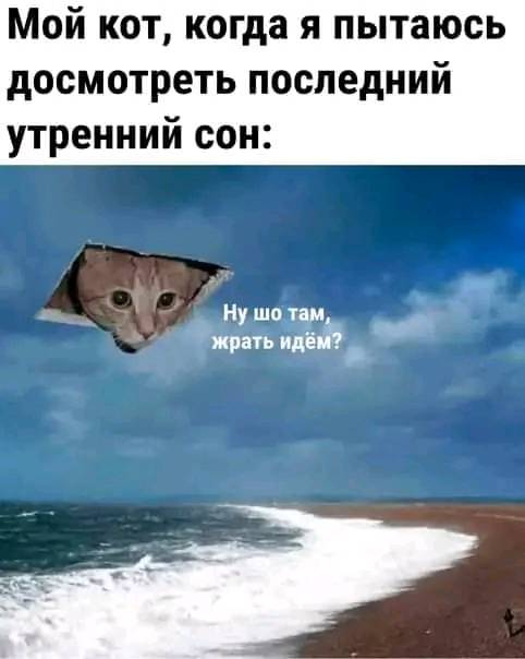 Картинки и мемы для настроения - 17