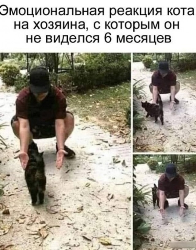Картинки и мемы для настроения - 119
