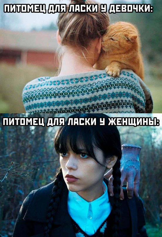 Немного картинок для настроения - 131