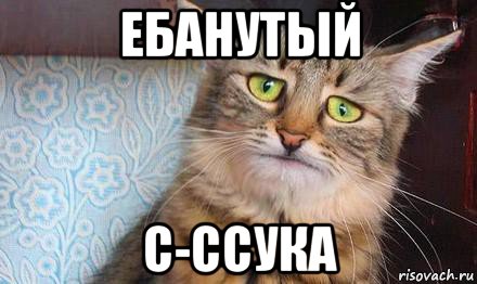 Небинарного чиновника Сэма Бринтона уволили из администрации Байдена