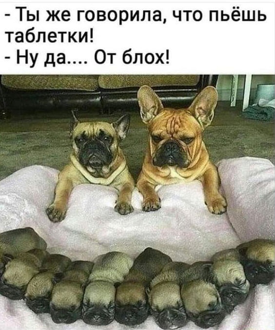 Так себе картинки 14.01.23