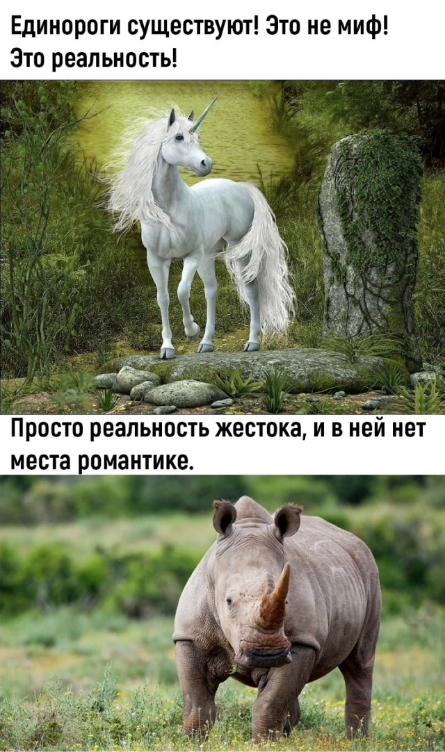 Картинки и мемы, всем хороших выходных