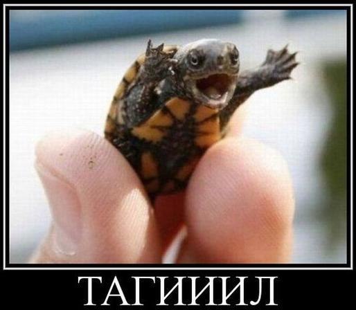 Танк выдержал 3 выстрела из РПГ