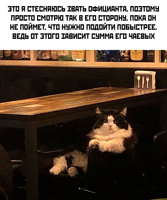 Немного картинок для настроения - 139