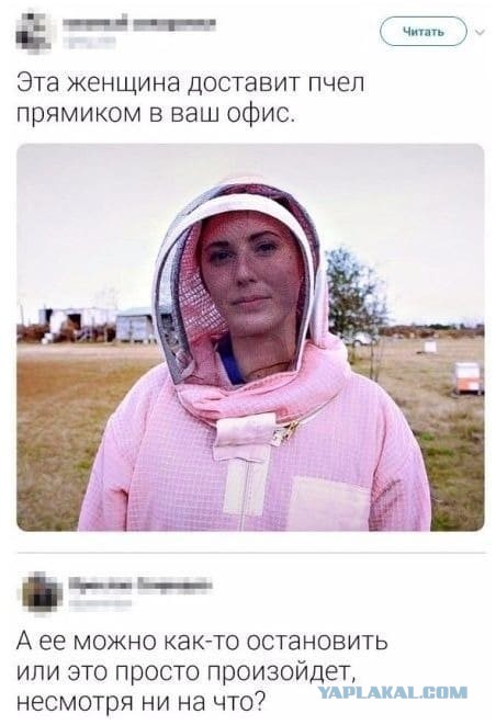 Студия Лебедева сделала новый логотип «Аленки»